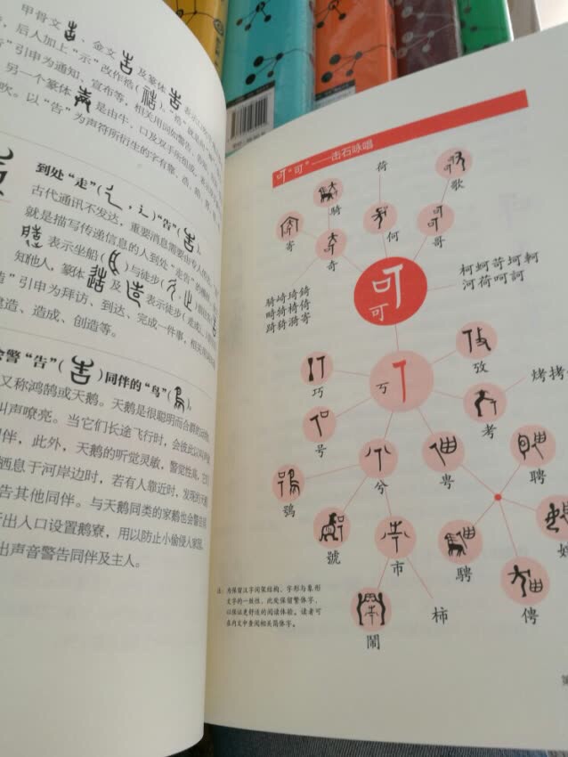 非常好的一套书，暑假准备看起来，内容丰富对了解中国文字知识，拓展孩子视野，增长见识很有帮助