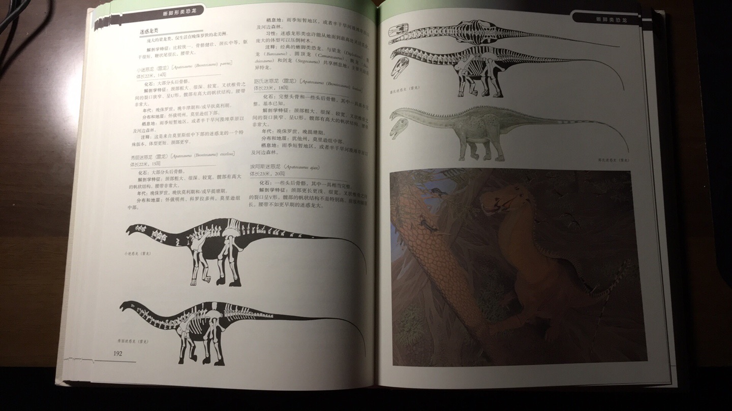 恐龙爱好者必入！内容严谨，最棒的恐龙百科！