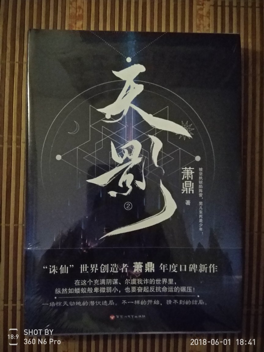 《天影》是著名的网络作家萧鼎于2016年创作的仙侠小说，本书是由《戮仙》完结以来，从纵横中文网转至起点中文网的首本长篇小说。
