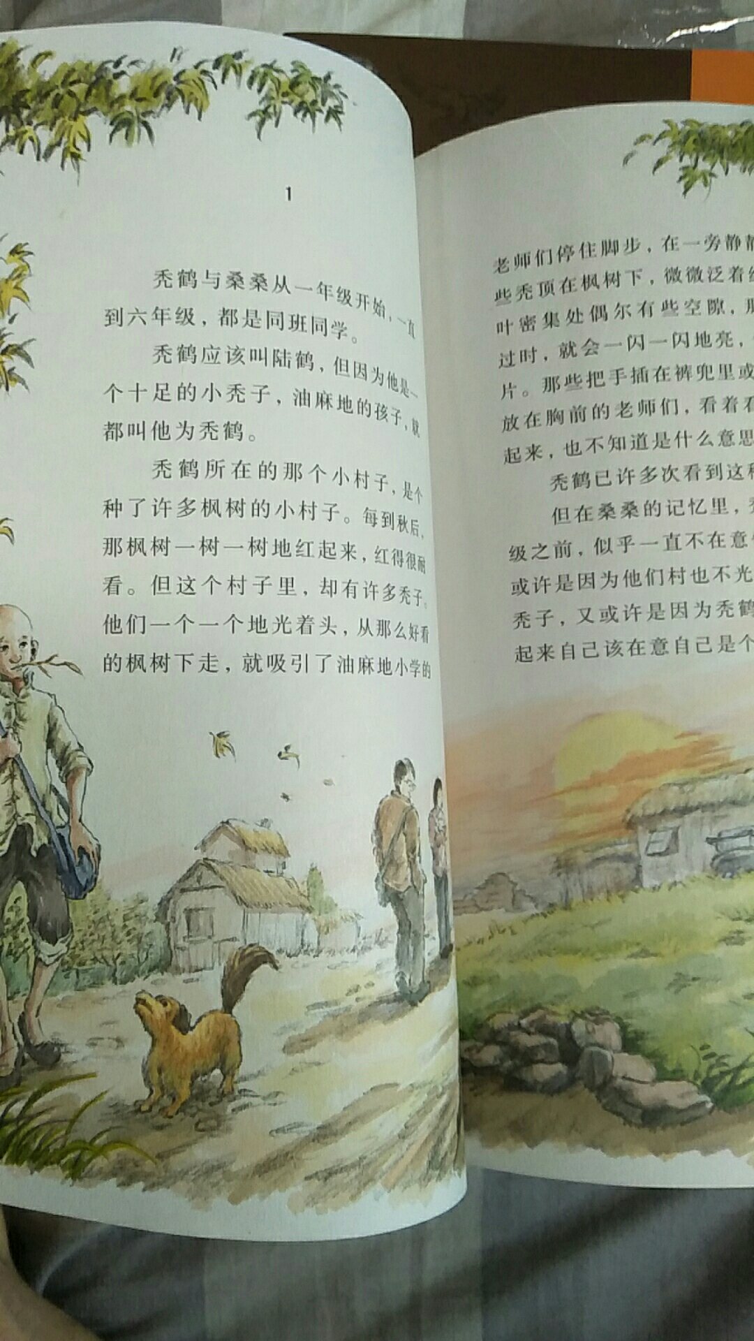 曹文轩作品草房子的画本，用券下来比实体店便宜不少，彩色插图，对小孩很有吸引力。
