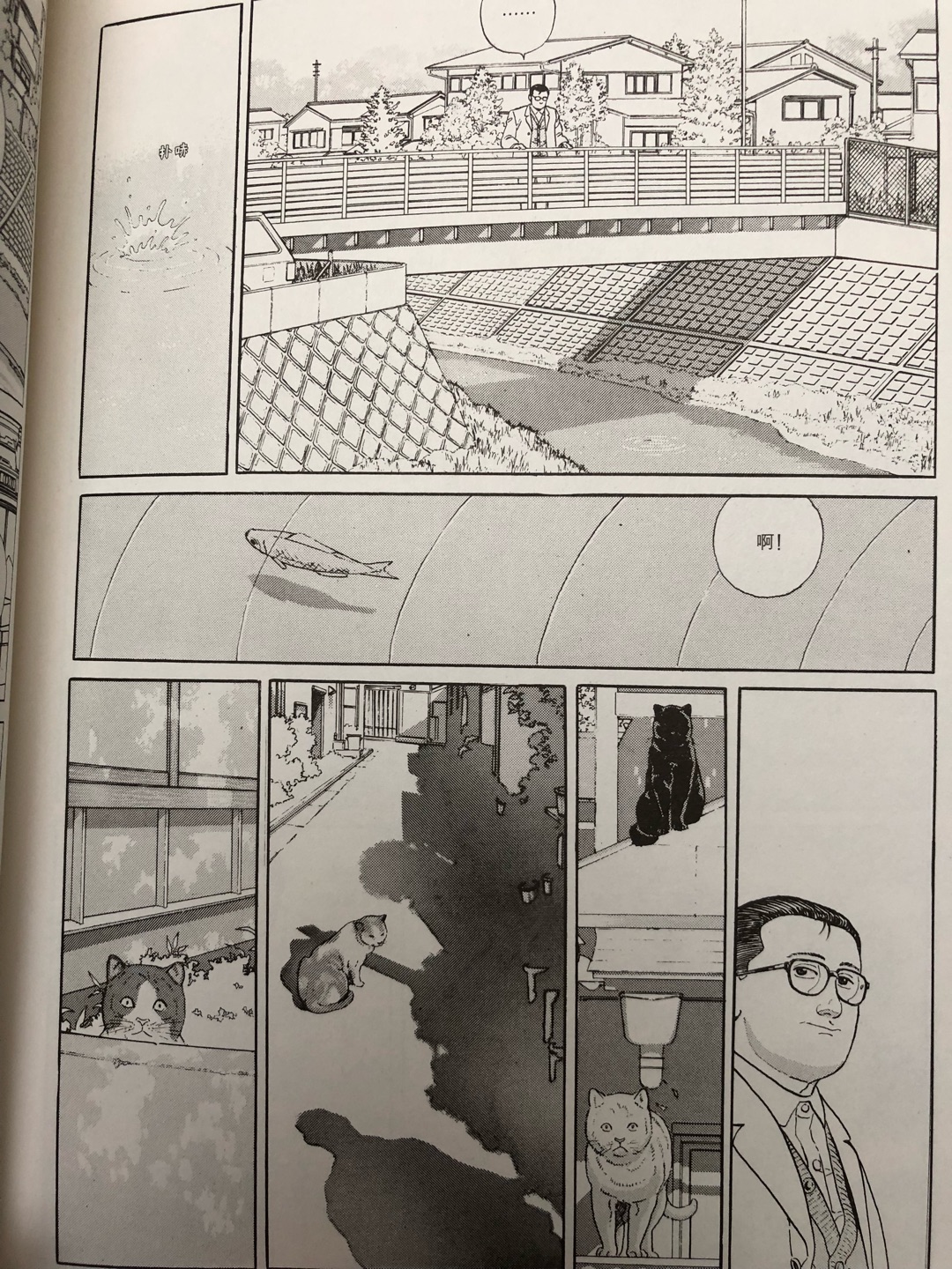 谷口治郎的成人漫画还是很好看的，自营快捷方便，包装的四角尖尖。。。