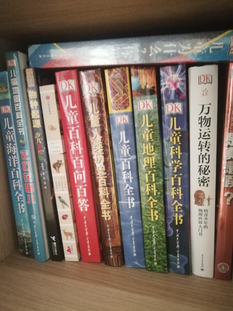 DK的书，家里买了一大堆，孩子比较喜欢。