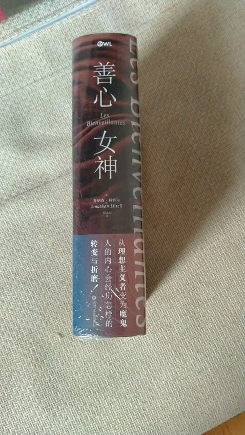 战场上，马克斯眼睁睁看到士兵屠杀犹太女人和小孩，听到林野沟壕边行刑厂中可怕的呻吟，他发觉自己纯真的“为国效力”换来的却是刽子手的经历。随着一次次的行刑，他成为这丑恶又疯狂的蓝图中的一部分，不自觉地沉沦到一场无法醒来的噩梦