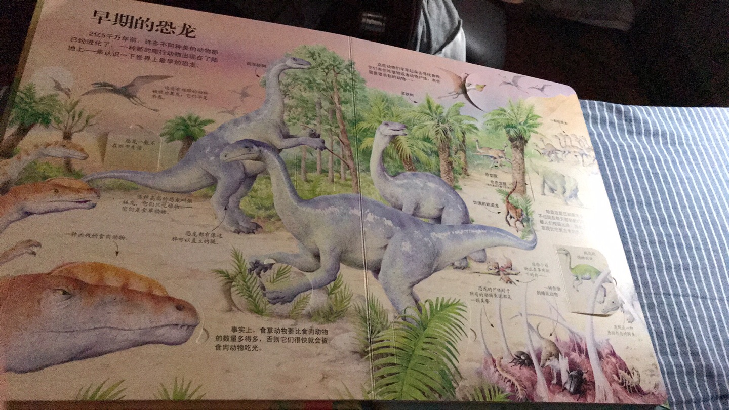 书里介绍了恐龙?时代里的各种种类及生活习性