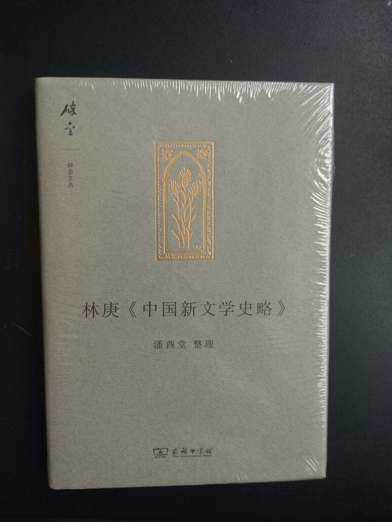 林庚老师的学问是非常好的，这本小书读来很有益