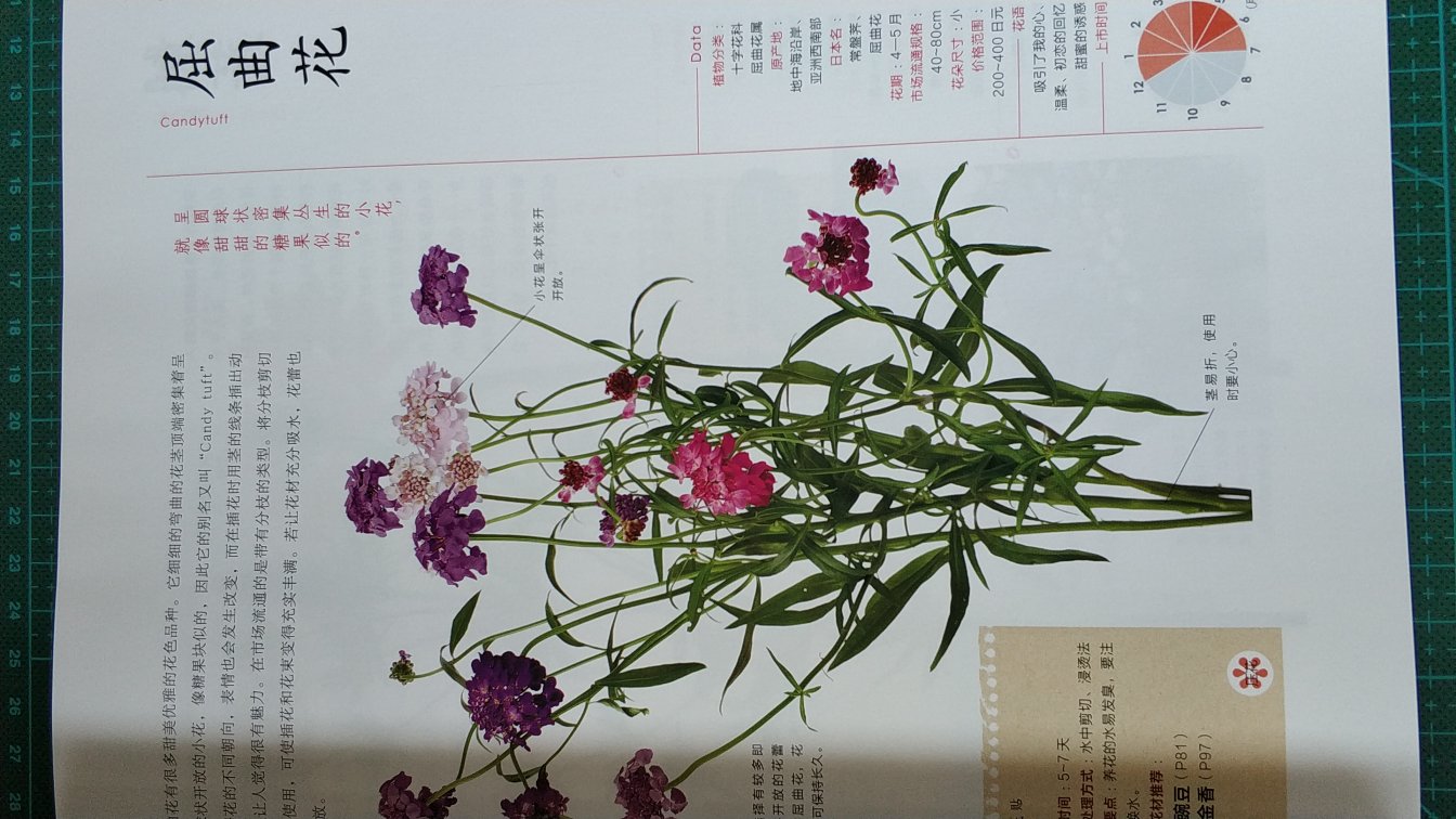 很详细的介绍了花的科目产地花期，还有便笺贴提示水养切口。