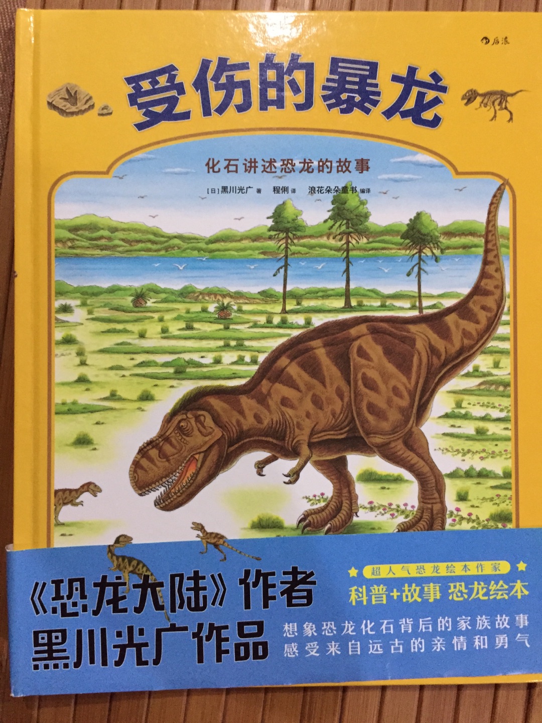 在买书还是蛮方便的，书也蛮多的，就是价格要多关注，才能买的合适价格书。儿子喜欢恐龙，也喜欢恐龙大陆，也很喜欢这本恐龙书。