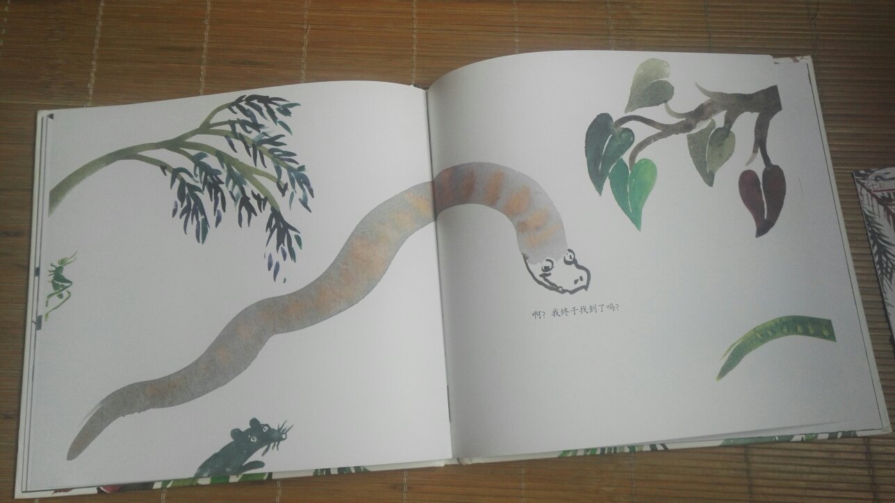 这本书比较厚于想象力，蛇长长的，到底是一段绳子呢，还是一个鞋带呢？还是一个，其他的东西呢？一本比较有趣的绘本，适合三岁左右的小孩