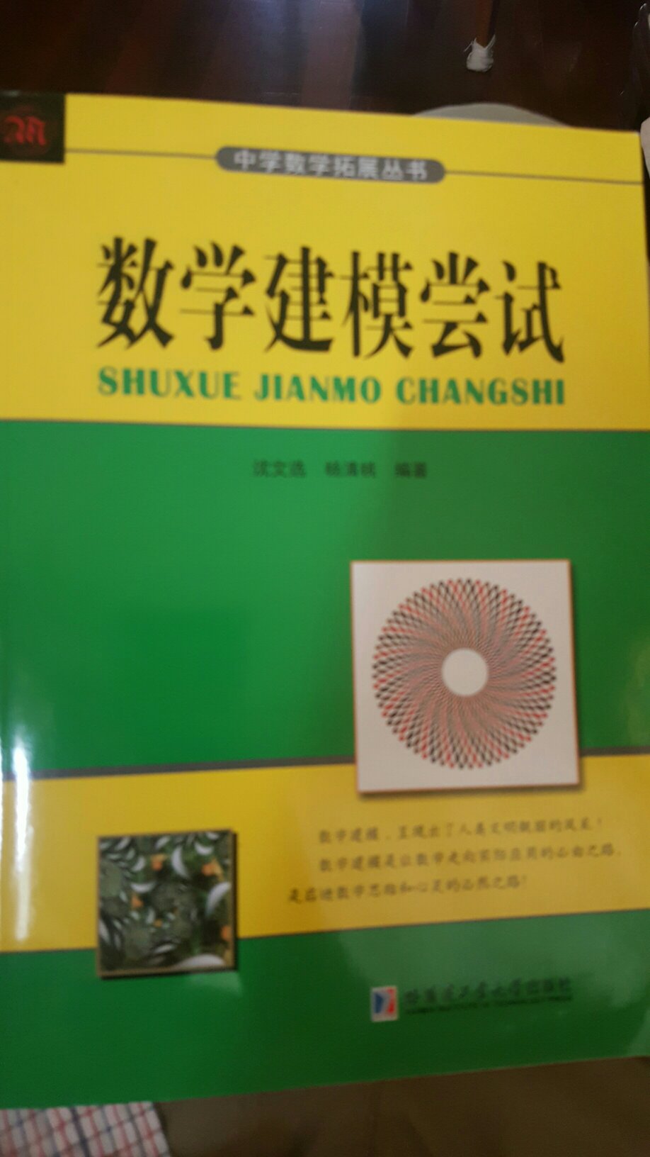 的确是尝试，想把数学建模扩展到中学阶段，以现在高中生的数学知识储备，数学建模的教材还是比较难编写的，新书一本，涵盖了数学建模教材中普遍存在的问题解决教程。