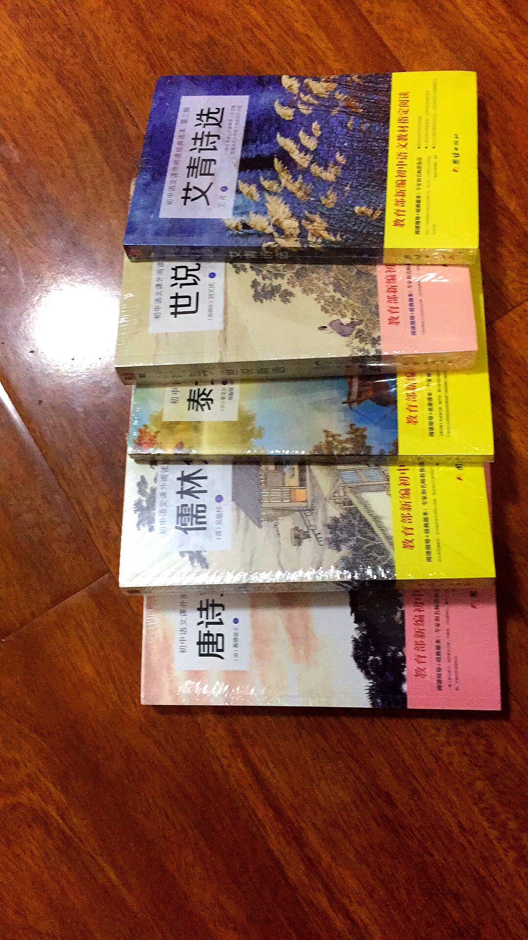 这是教育部新编初中语文指定阅读的课外书，打包购买很实惠，印刷质量还不错，送货速度快，好评！