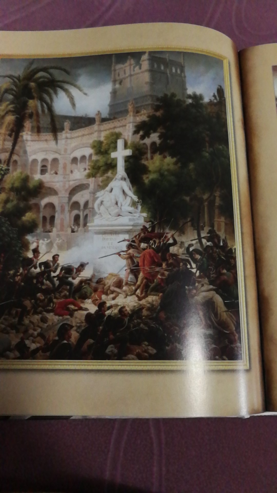 完美，诸多拿破仑的油画插图，非常精美。