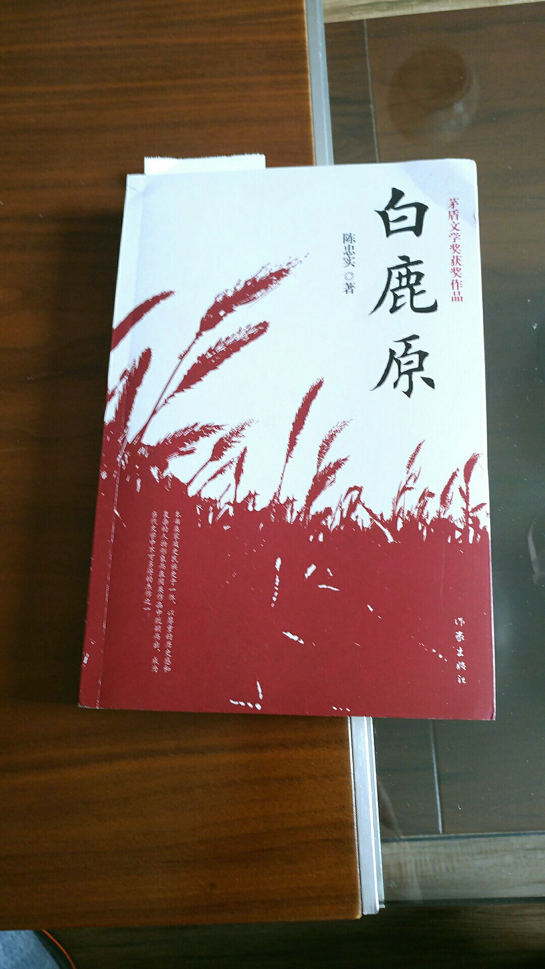 正在广东卫视追剧白鹿原，其实早在93年就在单位图书馆借看了此书，此次买回一本，细细品味。
