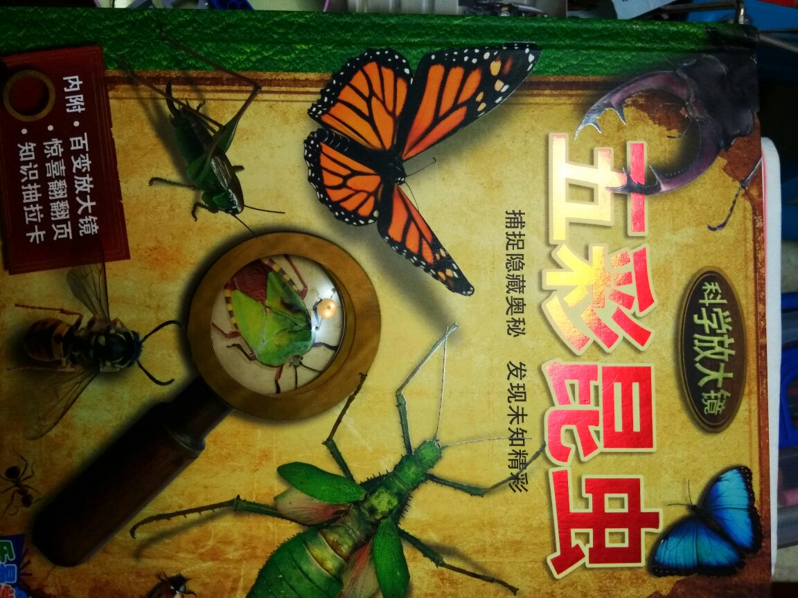书本里的昆虫世界，帮助孩子了解更多的小动物。