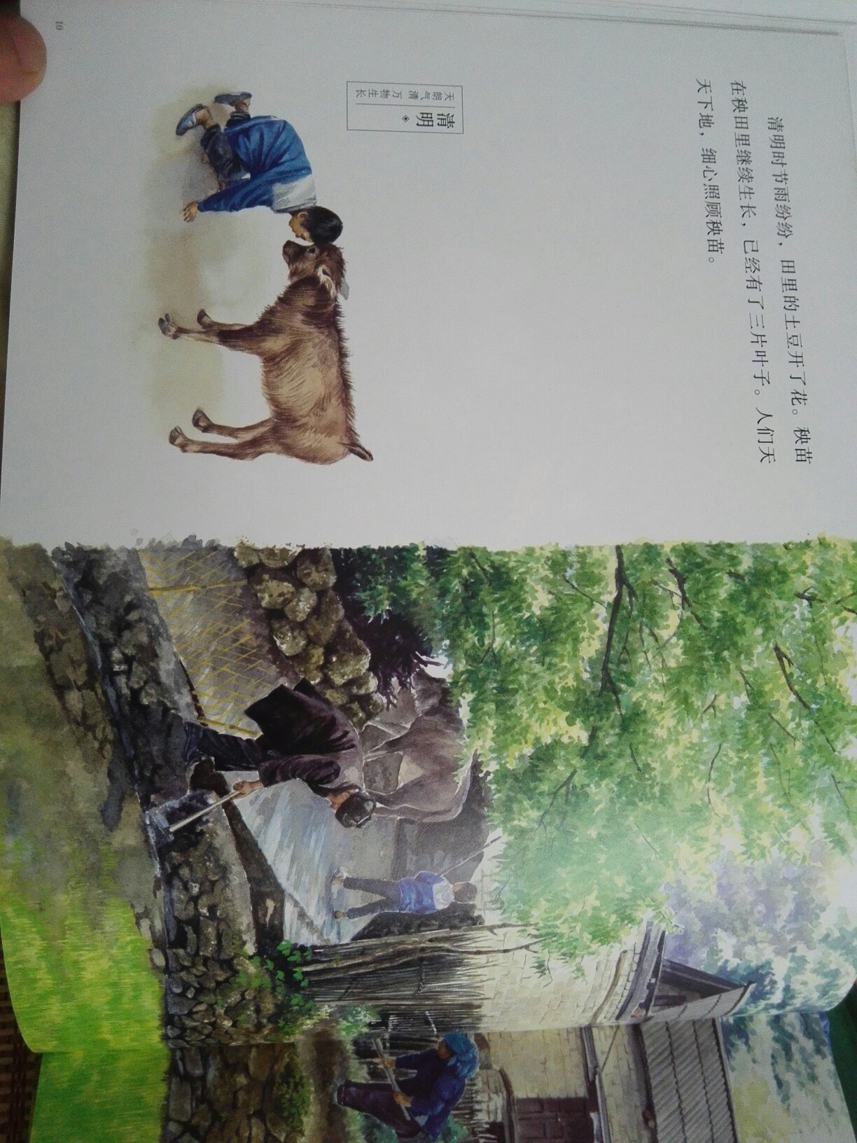 又是一个具有神话的中国故事，画中女子有法术，就像白素贞一样，书的插画很有中国味道，看到牛耕地，就想起小时候的农村景象