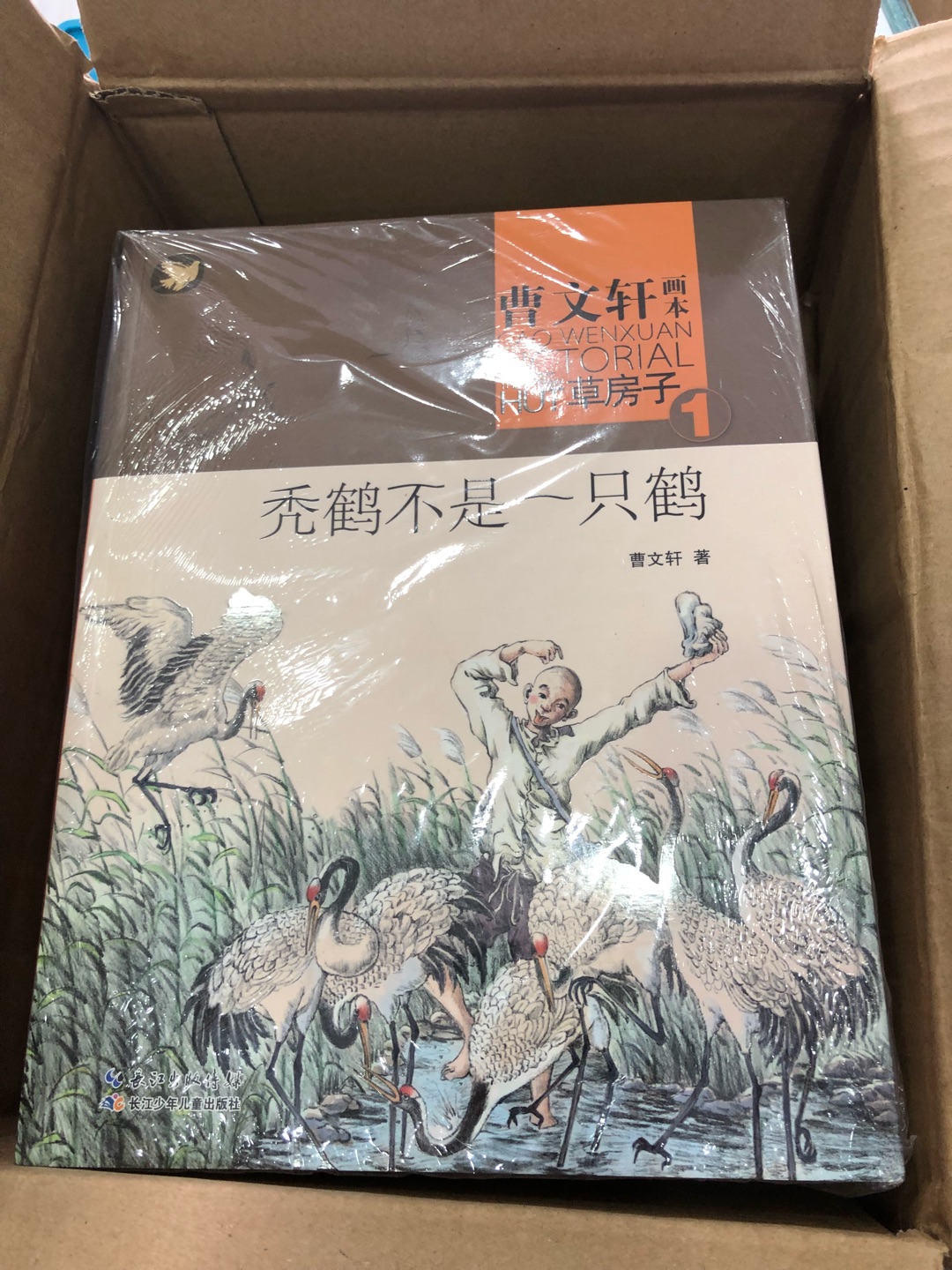 这套书也不错，就是我买时没看清我是插画本，适合更小一点的孩子看，不过给我儿子看也行，虽然上初中了，这样画面感更强，希望记得更牢！