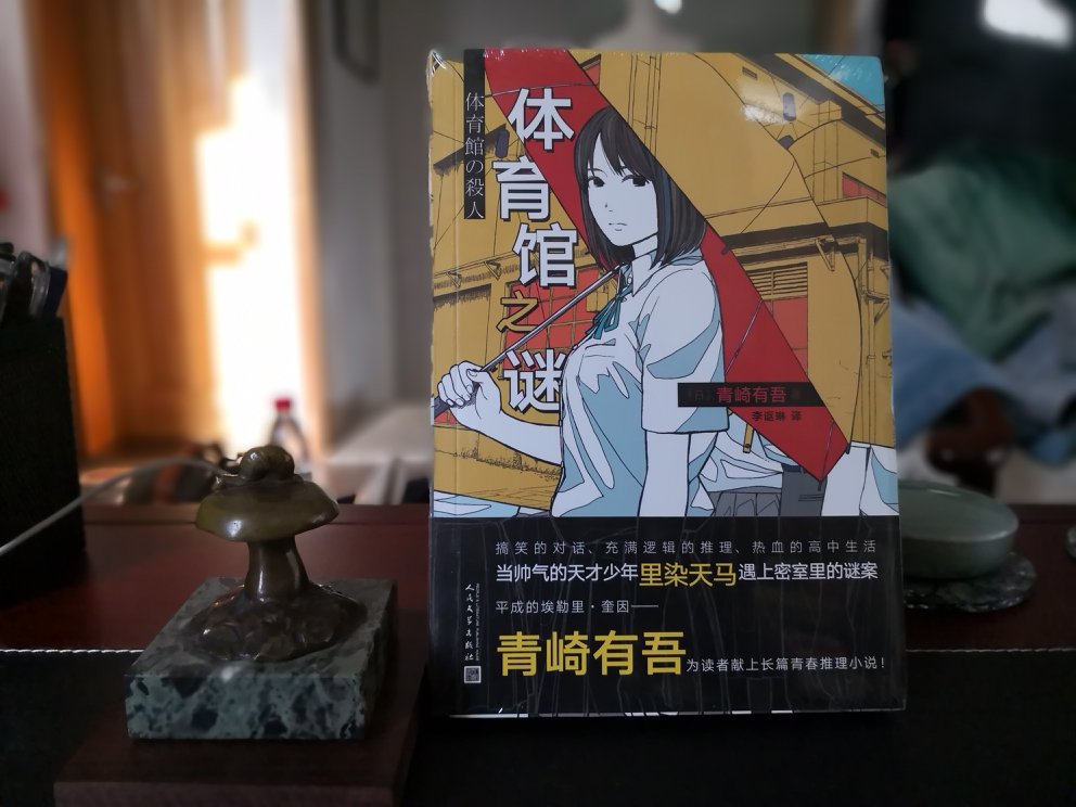 青春侦探题材，日本青年小说家的作品。