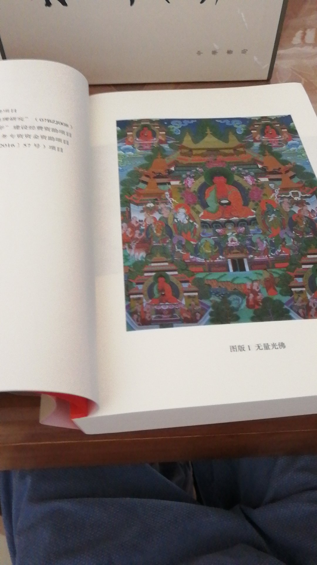 刚从色达回来，看了天葬，去了五明佛学院，藏民对宗教的虔诚令人震撼。可以说不了解藏传佛教，也就无从认识藏族文化，去那里旅游就会像盲人摸象一样！我一定要好好品读这本书，觉得积累够了，再去一次拉萨！加油！