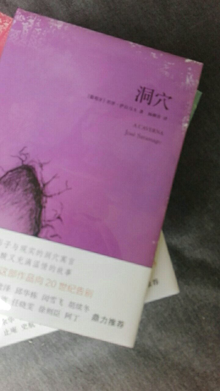 葡萄牙作家。1947年出版首部小说《罪孽之地》，1995年获葡萄牙语文学奖项卡蒙斯文学奖。1998年，因其“充满想象、同情和讽喻的寓言故事，不断地使我们对虚幻的现实加深理解”，被授予诺贝尔文学奖。萨拉马戈的作品风格独特，内涵深刻，作品主题大多关心的是人类的命运与世界的前途。写作手法上，他创立了一种充满想象、隐喻和讽刺的小说类型，赢得了无数读者的赞誉。他一生创作了数十部小说和其他文学作品，已经被翻译成30多种语言，总销售超过350万册，主要作品包括《修道院纪事》《里卡尔多·雷耶斯离世那年》《所有的名字》《石筏》等。