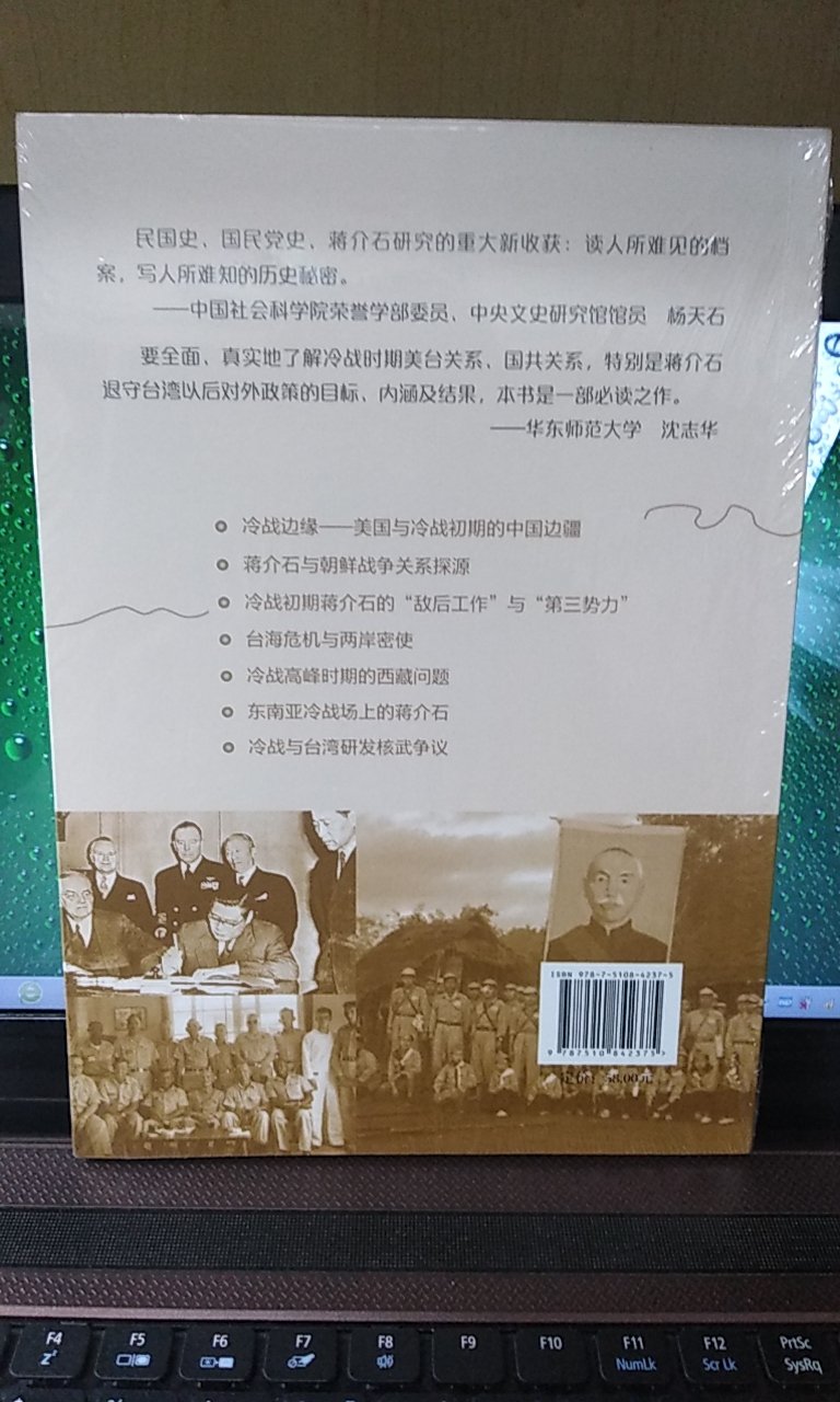 林孝庭该著作利用美国、英国、台湾等档案来进行研究，视野开阔。