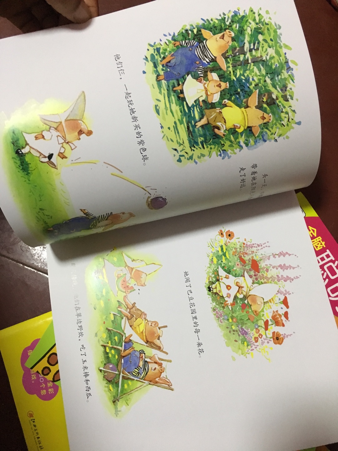 这套书很有趣，嘟嘟和巴豆是两个不同类型孩子的代表，孩子两岁，听起来有点费力，大一点应该能懂了，很喜欢里面的插画，画面很美。