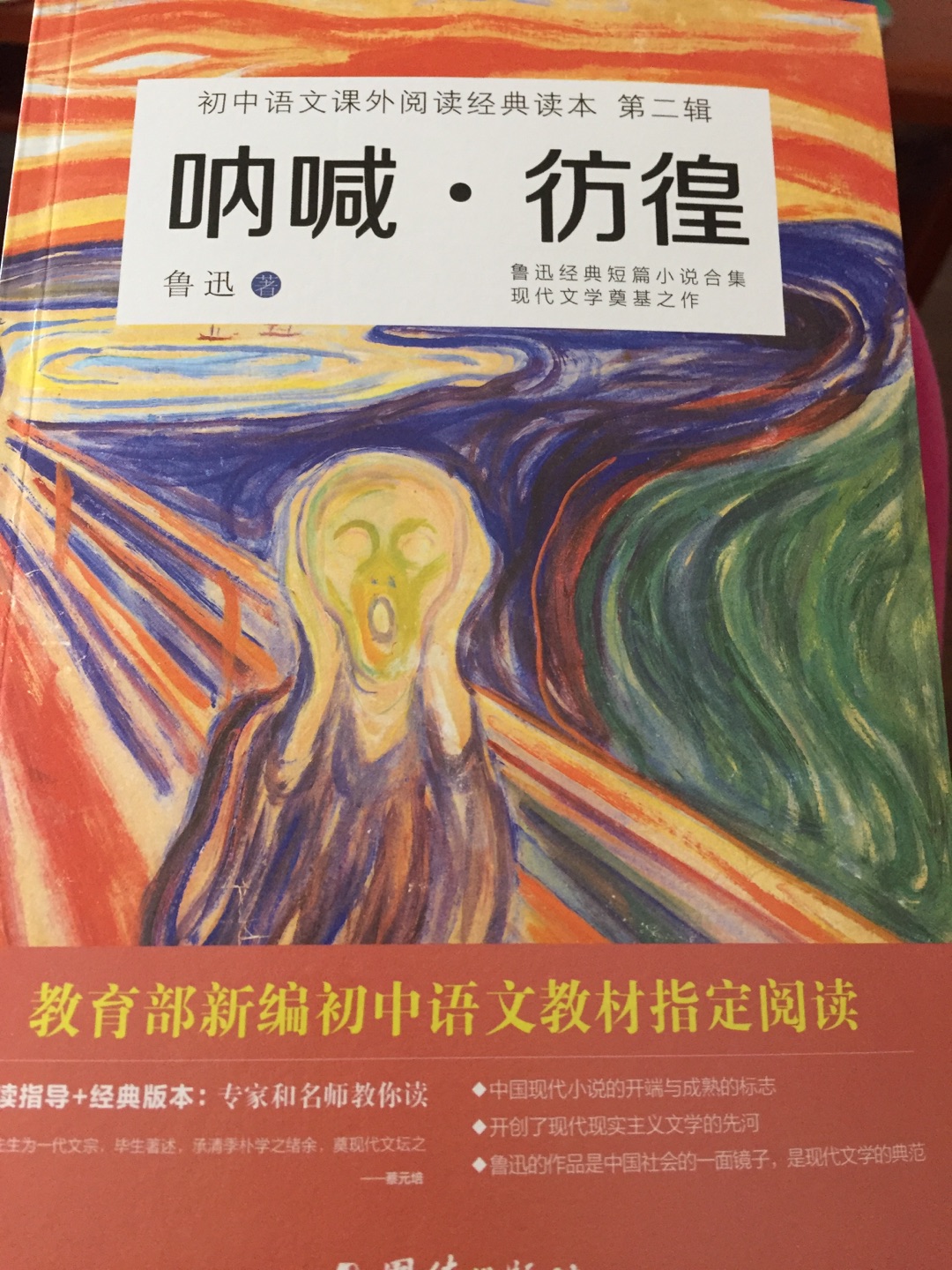 不读不是中国人系列，这个版本的封面做的很讨巧呢，非常好，了解那个特殊时期的中国，从鲁迅的文章开始！