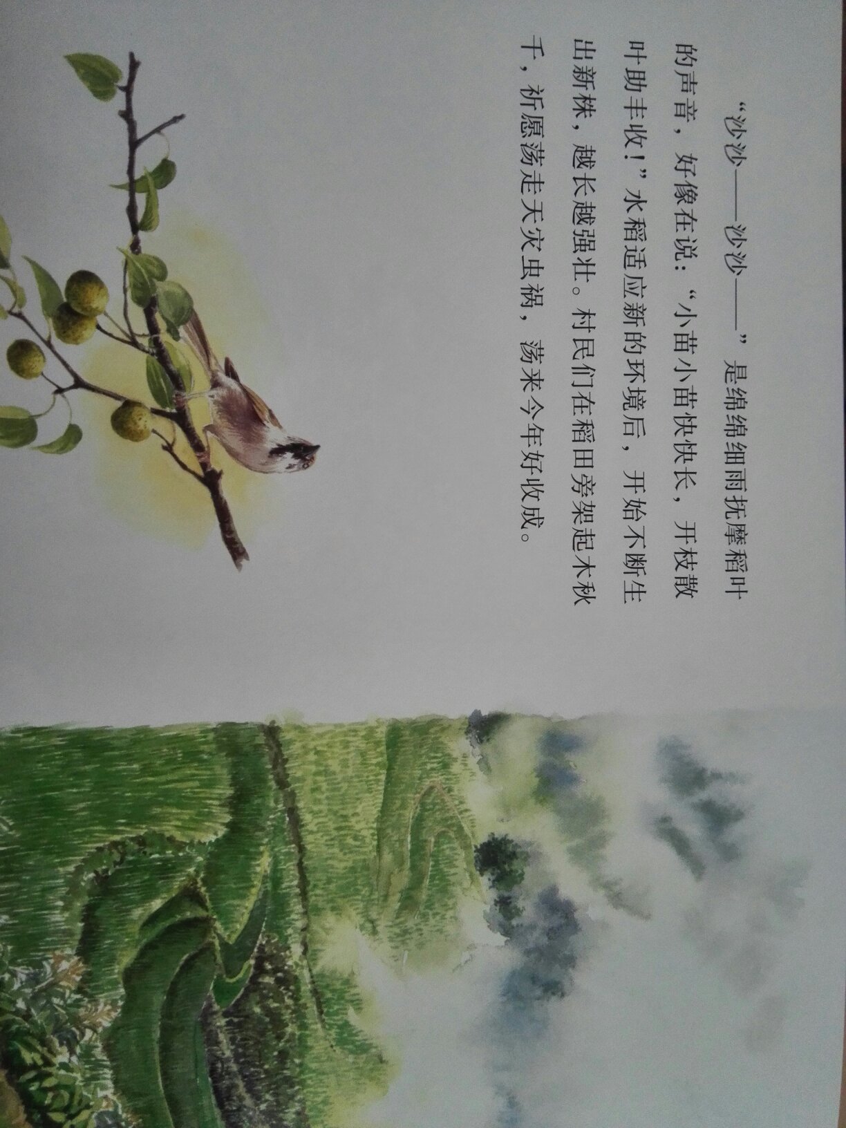 又是一个具有神话的中国故事，画中女子有法术，就像白素贞一样，书的插画很有中国味道，看到牛耕地，就想起小时候的农村景象