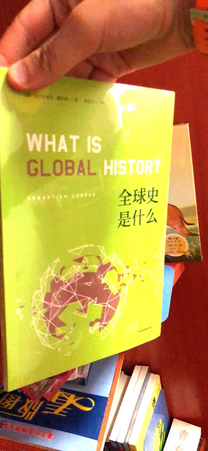 什么是全球史呢我觉得是整个人类与地球的历史