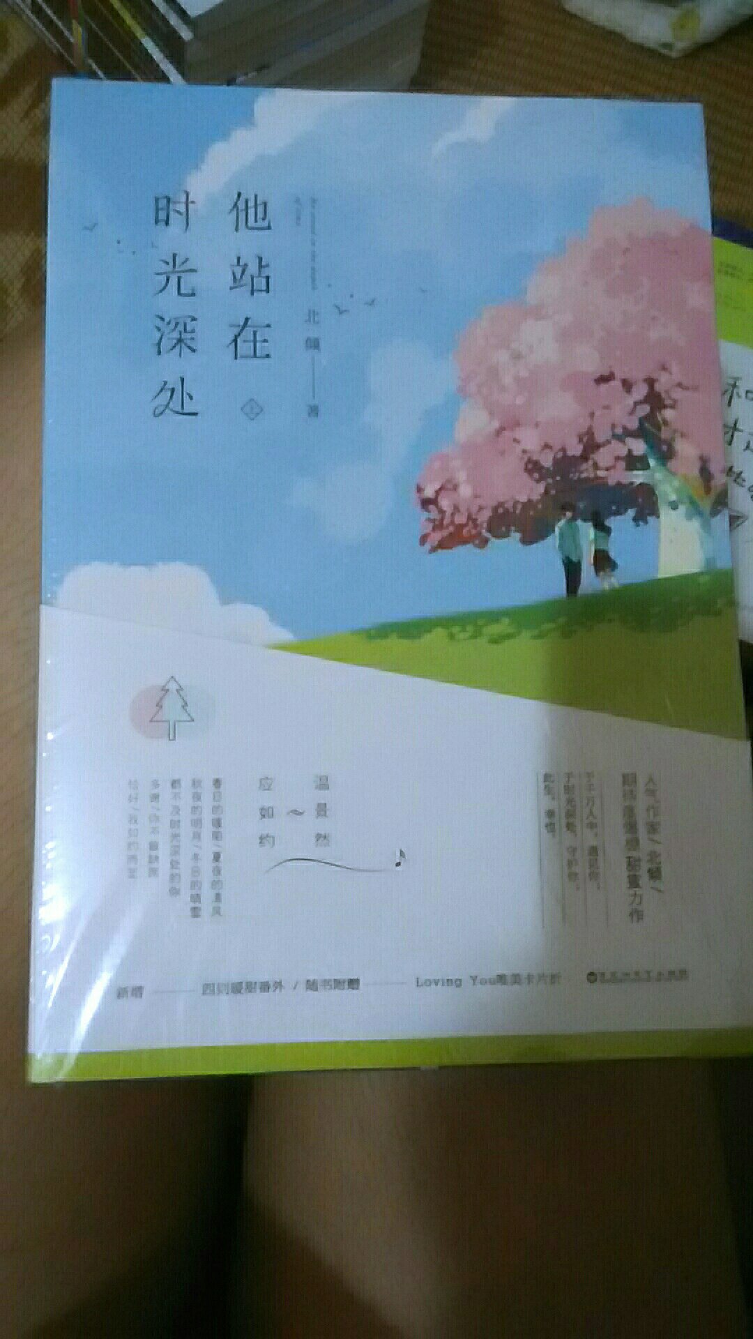 他站在时光深处，巨好看，封面超美，爱北顷@，么么哒