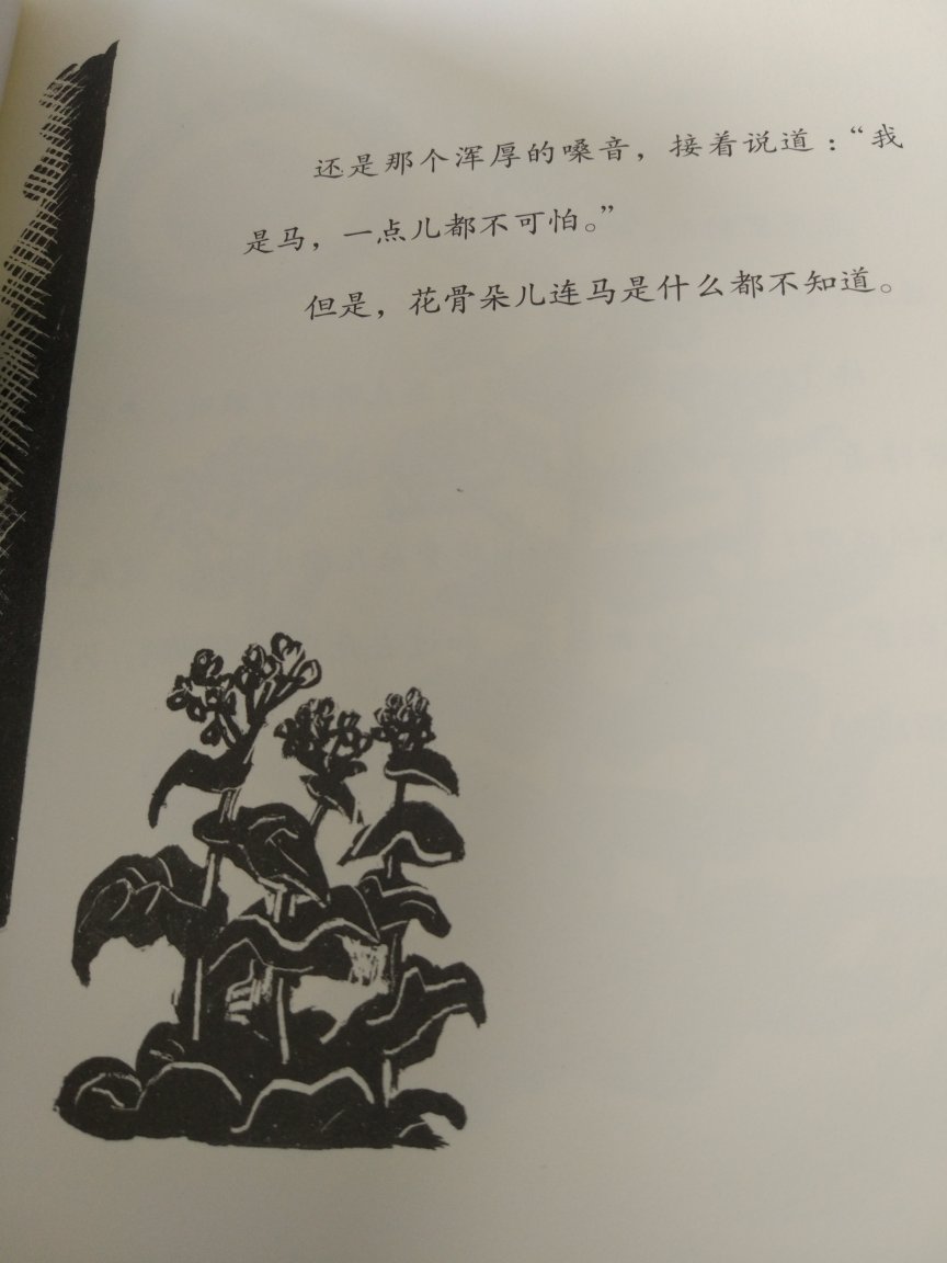 很精美的一本书，之前看过新美南吉的小狐狸买手套，现在买这本来看。画风很萌，装帧精美。