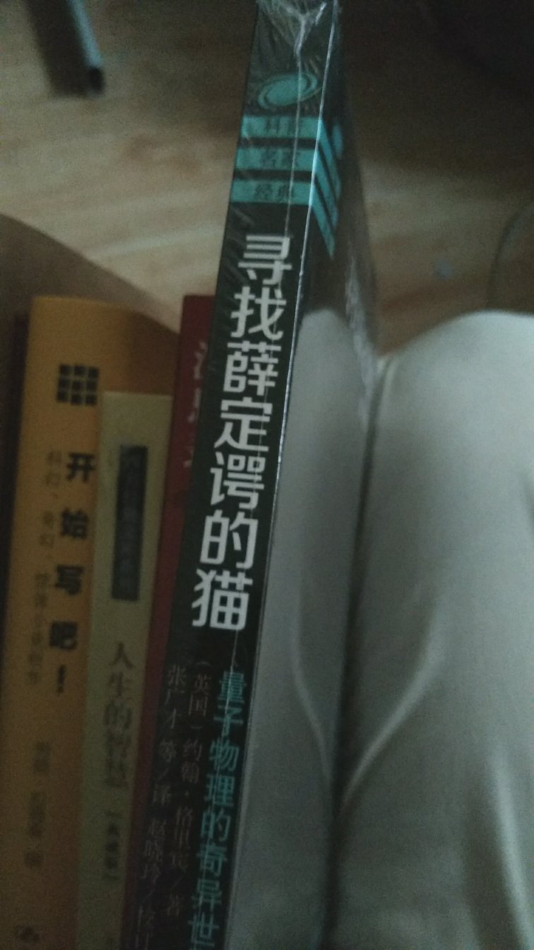 一只猫的成名之路？！