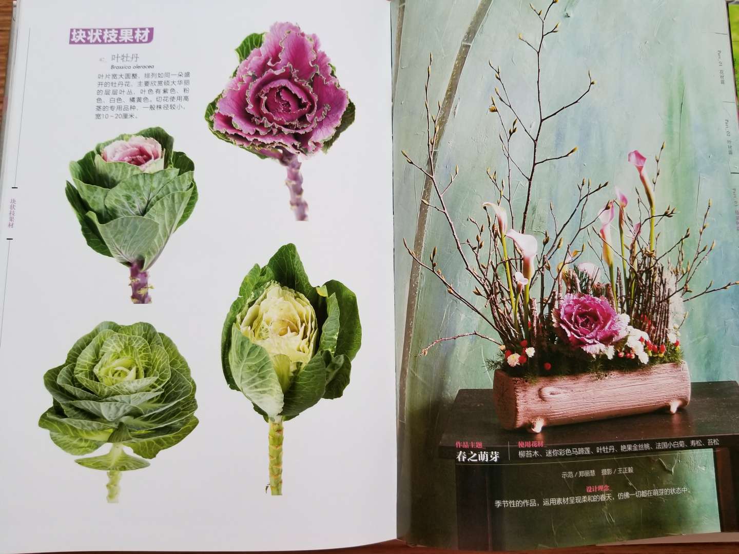 印刷清晰，有各种花材的介绍，及花艺设计范例。内容挺充实的，值得一看。