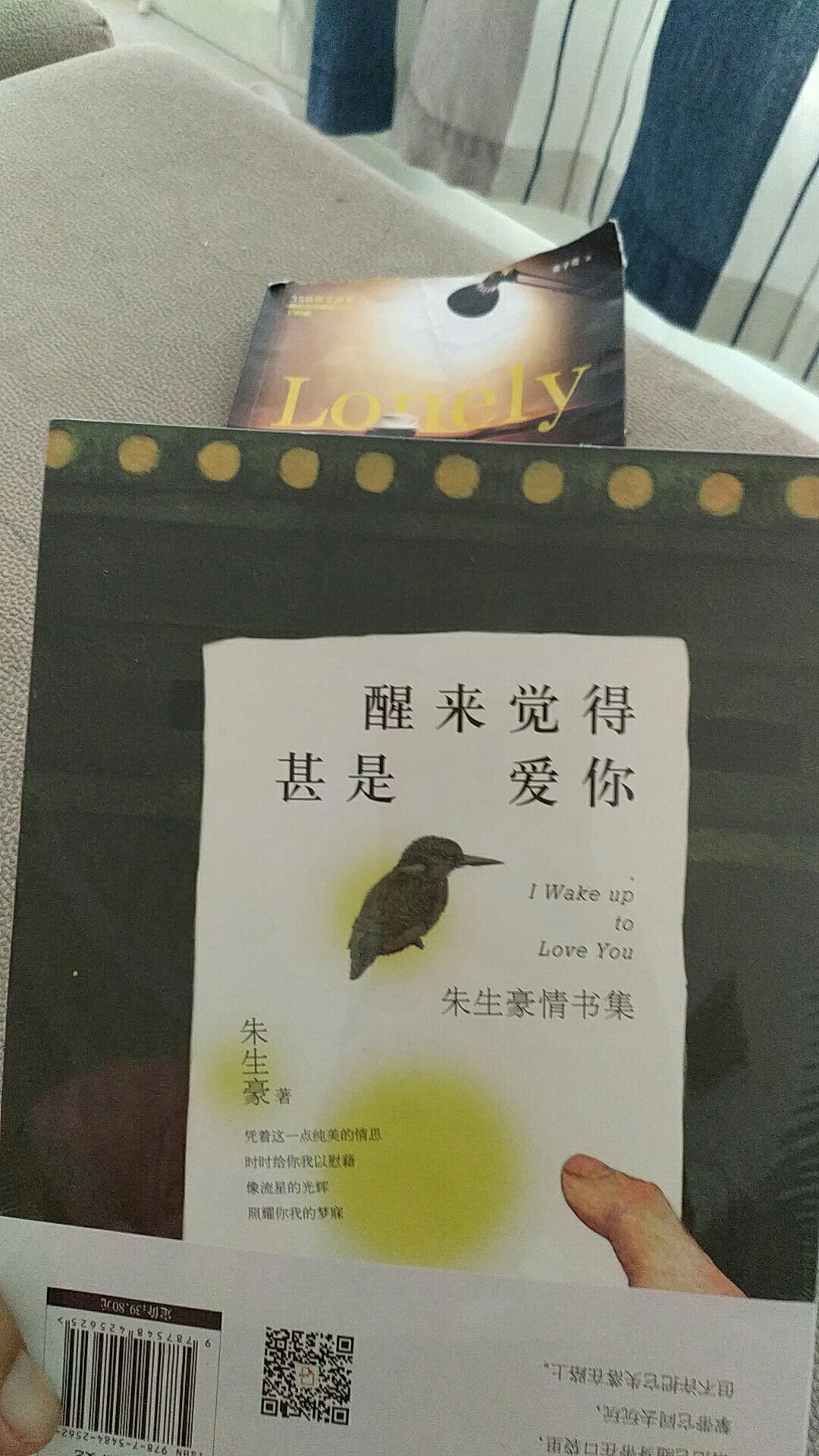 买了一大堆，这一本正打算开始看，一直想看的，希望不会让自己失望，等看后再跟大家说说感受吧