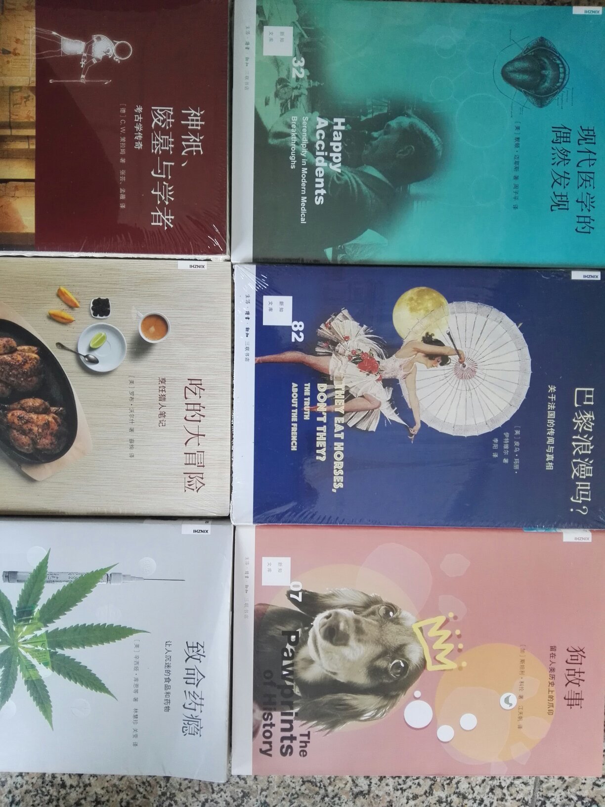 新知文库系列还是很有看头的，逢必买系列，三联出版的图书都不错