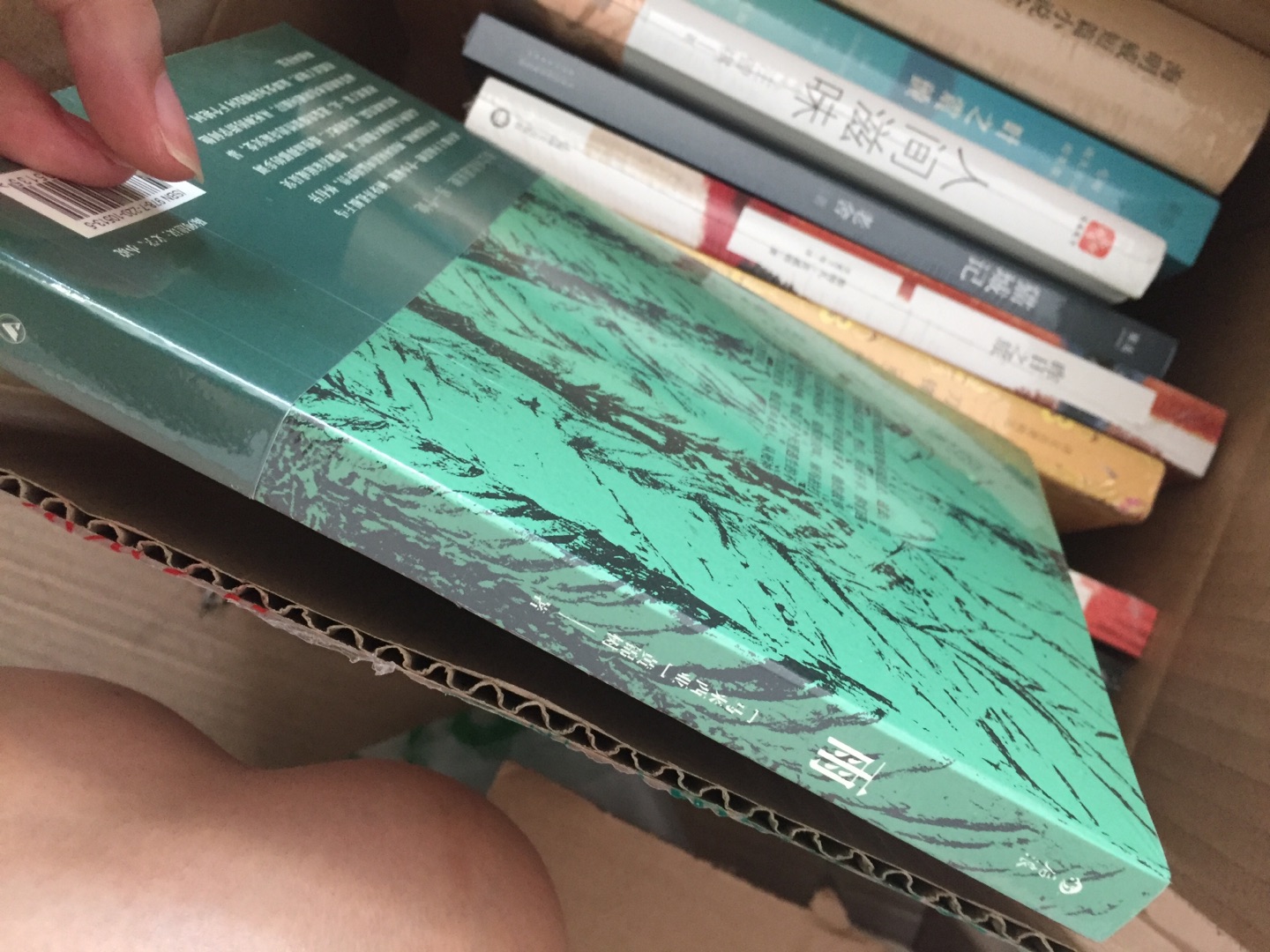 最近豆瓣虚构类书籍新书榜上的好书，马来西亚人黄锦树的书，豆瓣8.6分千余人评分，可见是一本不错的书，内容富含魔幻色彩，讲述了一家四口不同平行世界的不同故事与结局。后浪书籍，简装的小本子，此书封面设计给人一种热带雨林中满目幽绿的感觉