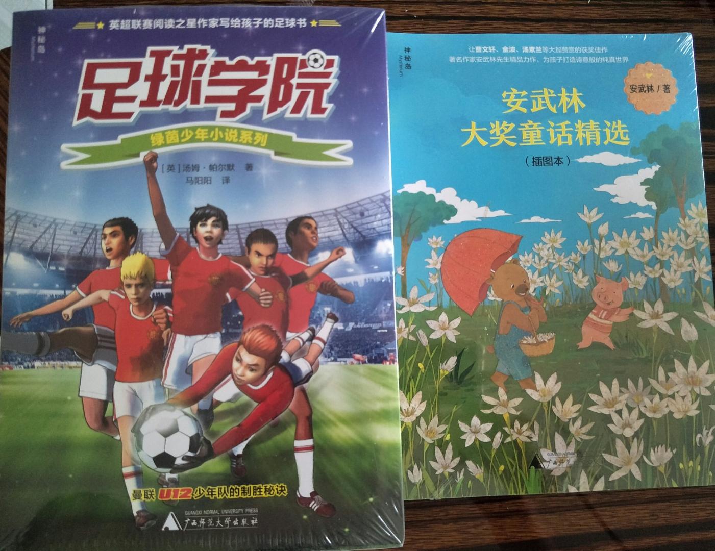 图书是六一儿童节送给孩子最好的礼物，所以下单了两套广师大的少儿作品。这套足球小说适合送给喜欢足球运动的孩子。故事生动，插画有趣。期待更多优秀的足球小说。
