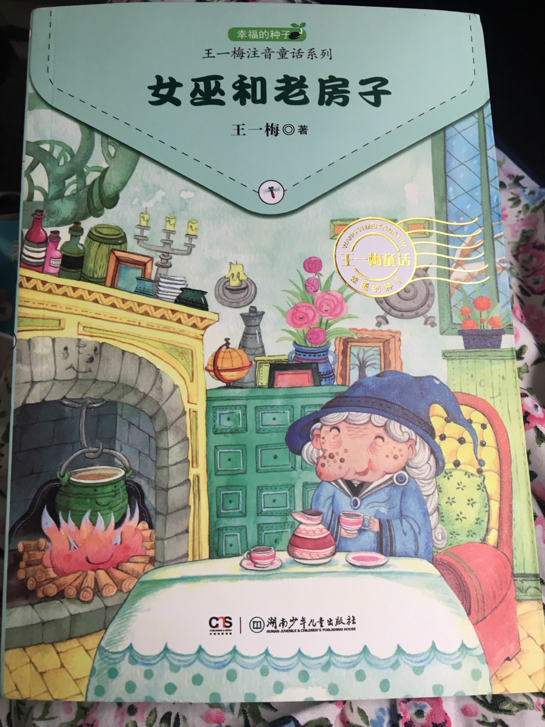王一梅经典图书，适合低年级小朋友阅读，有注音，字体清晰，质量很好。