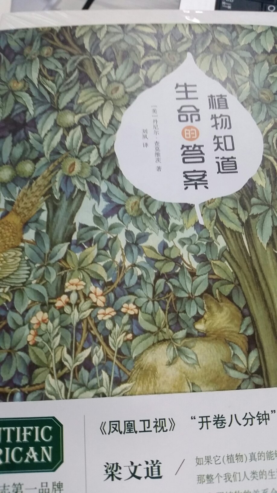 质量不错，纸张很厚，发货也比较快。买了很多次，199-100搞活动买的，特别划算。活动力度，优惠了顾客了，大赞。