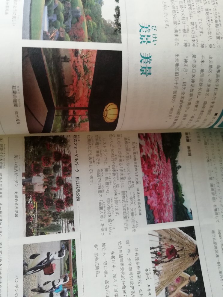 印刷质量非常高，内容挺不错，中日双语对照，排版优。