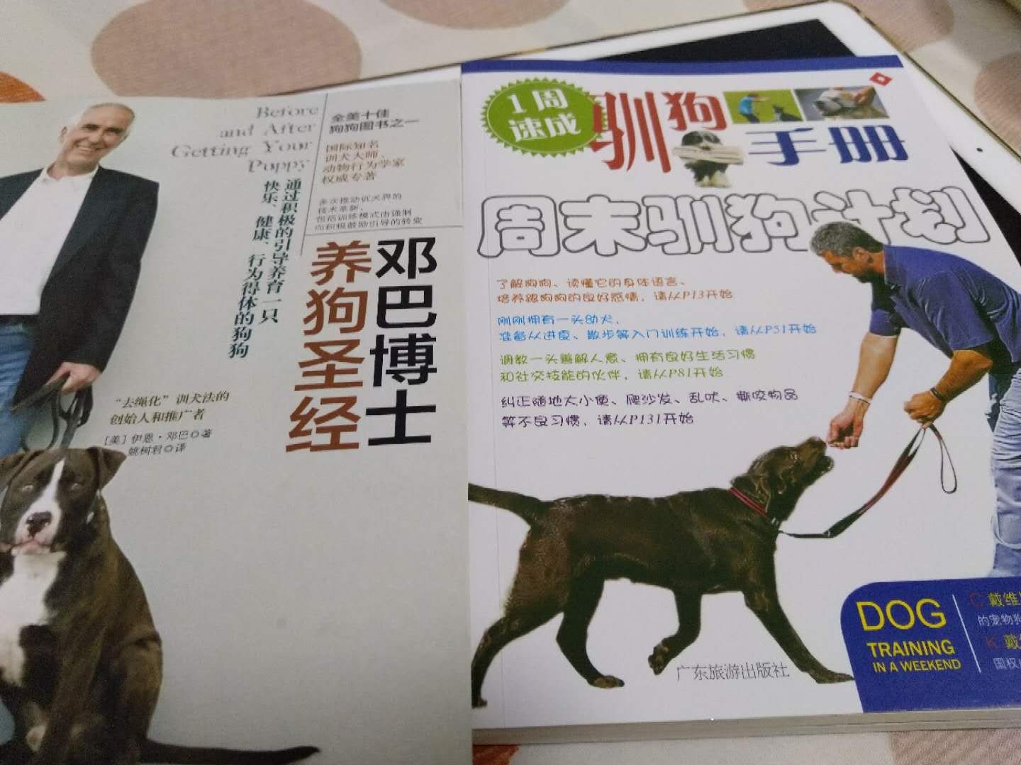 很实用的书籍，对于养好狗狗很有帮助。质量也好，好评！