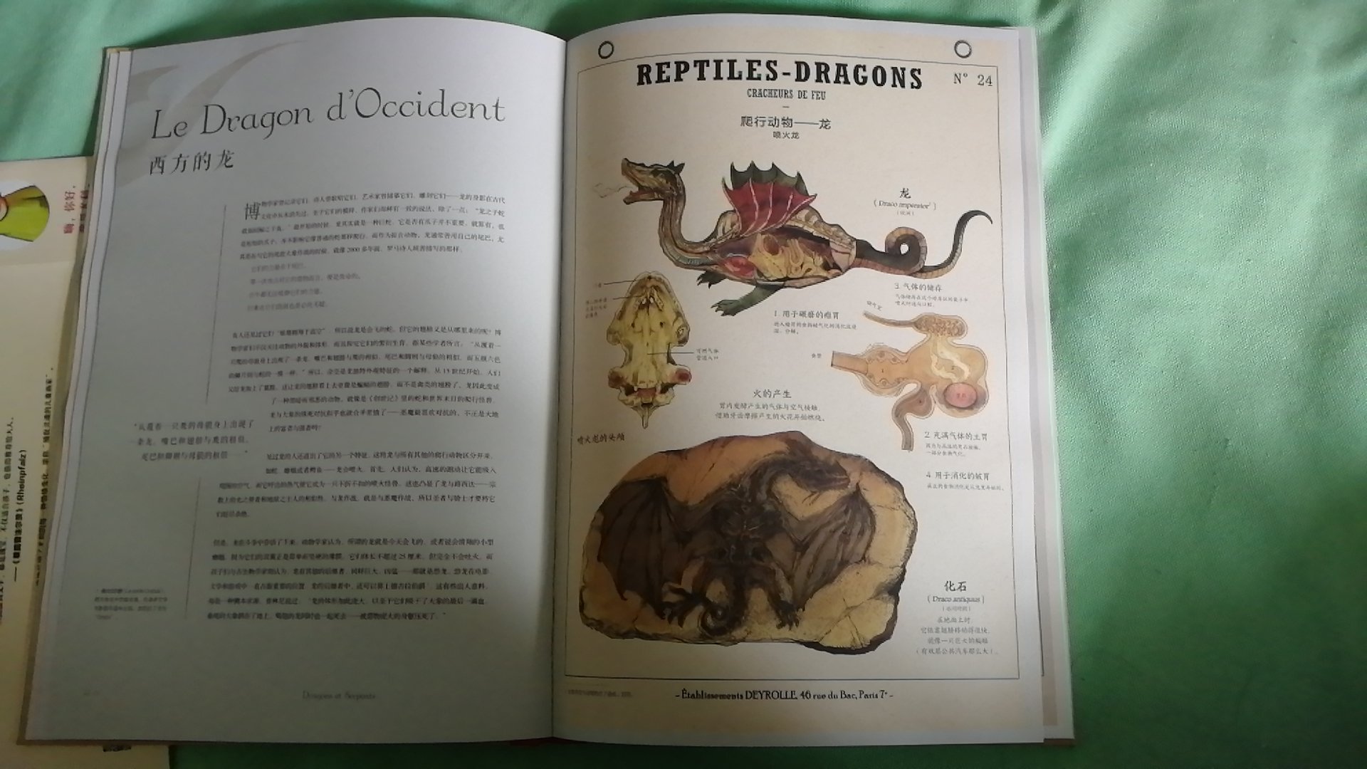 这是本大开本的书，印刷精良，最值得一说的是，拥有一半的大图，全彩色并且画的非常细致，把各种神秘的动物画得活灵活现，并且做了细致入微的论诉，尽管作为成人的我已经不太相信一些神秘动物的存在，但是看过这本书后，都有些相信这些都是真实存在的，而孩子因为喜欢恐龙，这类书也非常喜欢，图片更是有很多解剖透视和类似化石的图片以及大量丰富的介绍，由于图片太美就不在上面拍文字页了。总之非常满意的一本书。