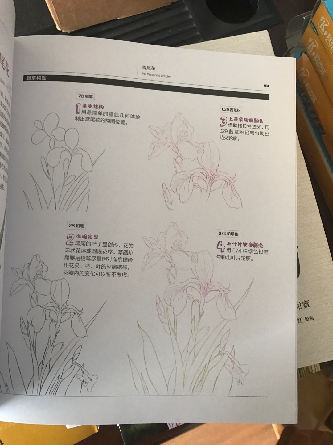 万物我画 花 适合彩铅小白入门用，有点意思的，万物我画 花 适合彩铅小白入门用，有点意思的