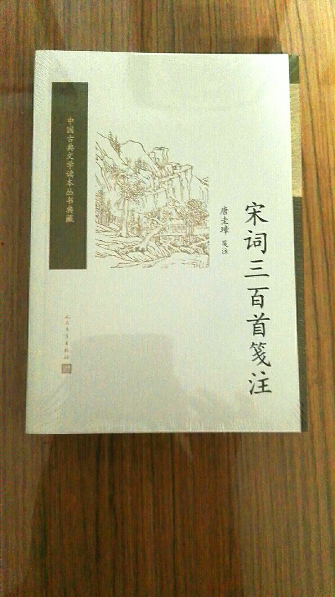 为良心商家点赞！包装严实没有破损，体现了对大师经典作品的尊重，也看得出是销售图书的经验商家！本书是顶级大师选编和注释+人民文学出版社出版，书的质量没话说！！