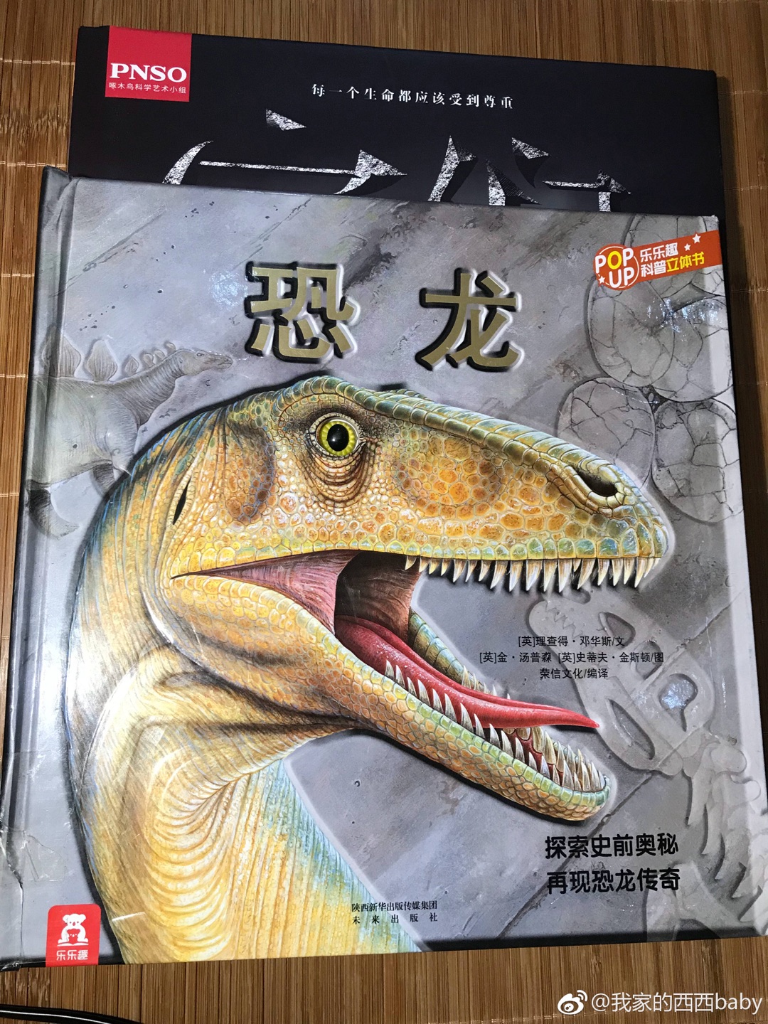 超级美的恐龙科普书，恐龙迷超级满足，和乐乐趣的恐龙结合起来看，再合适不过了！