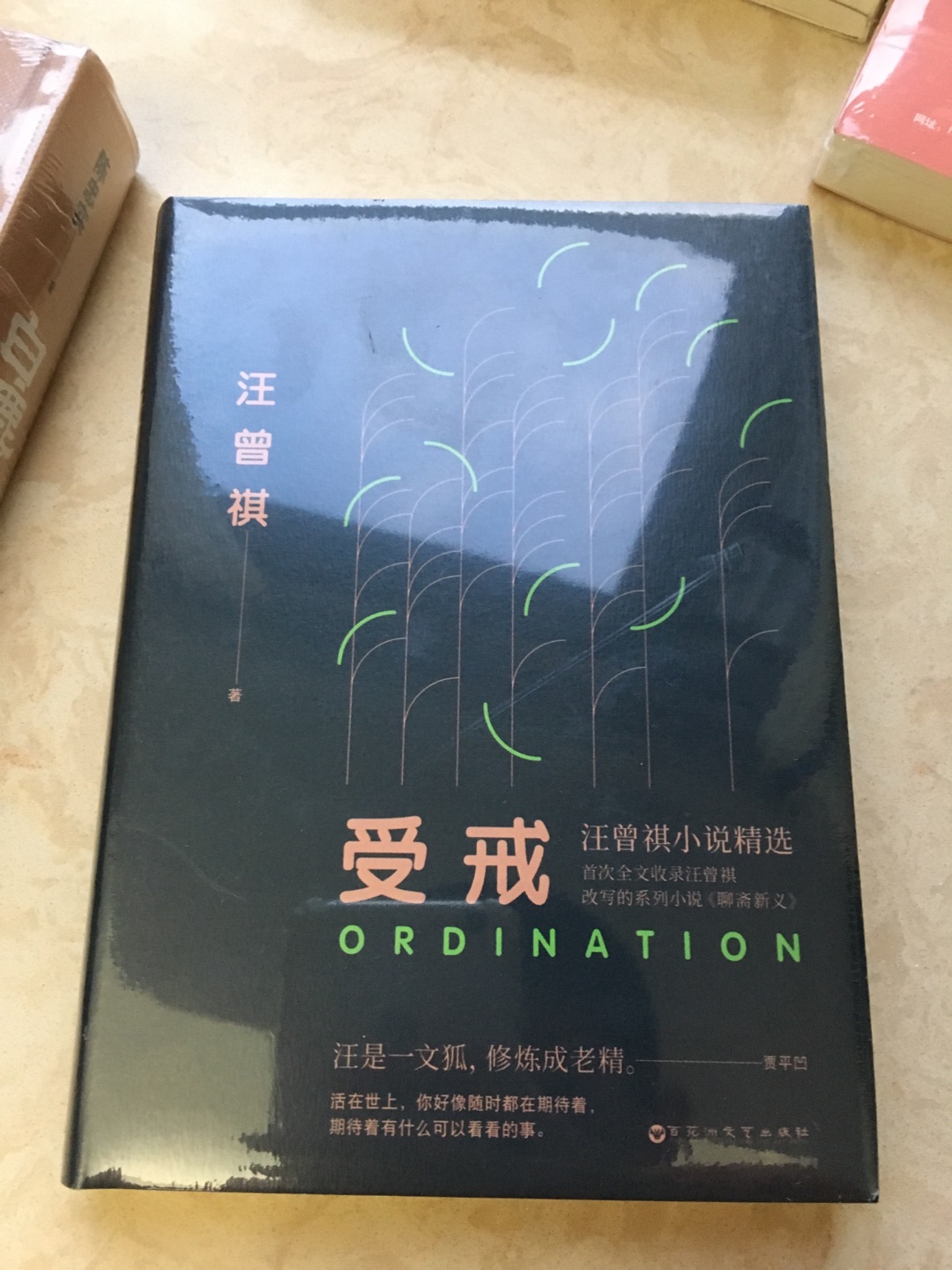 很喜欢汪曾祺先生的作品，所以买了这本书，定价偏贵吧。