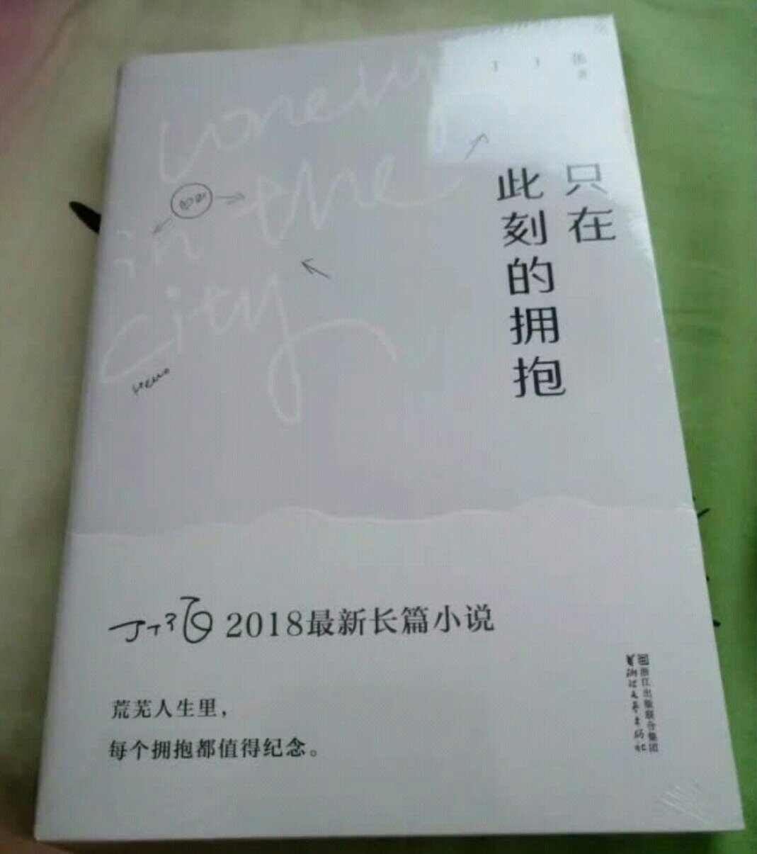 只在此刻拥抱，18年最新长篇小说，好看！