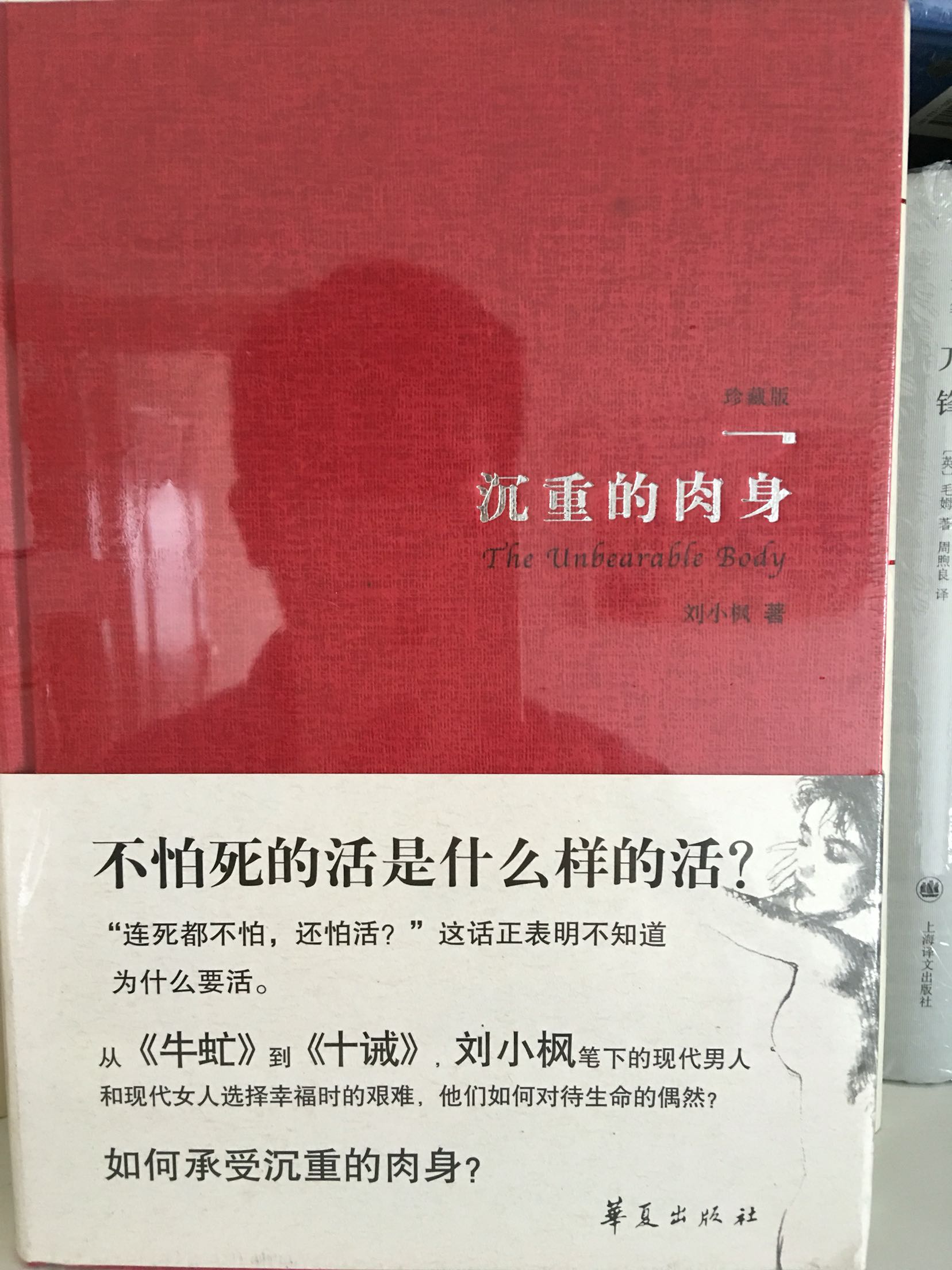 终于买了这本，第一本刘晓枫的著作，看看