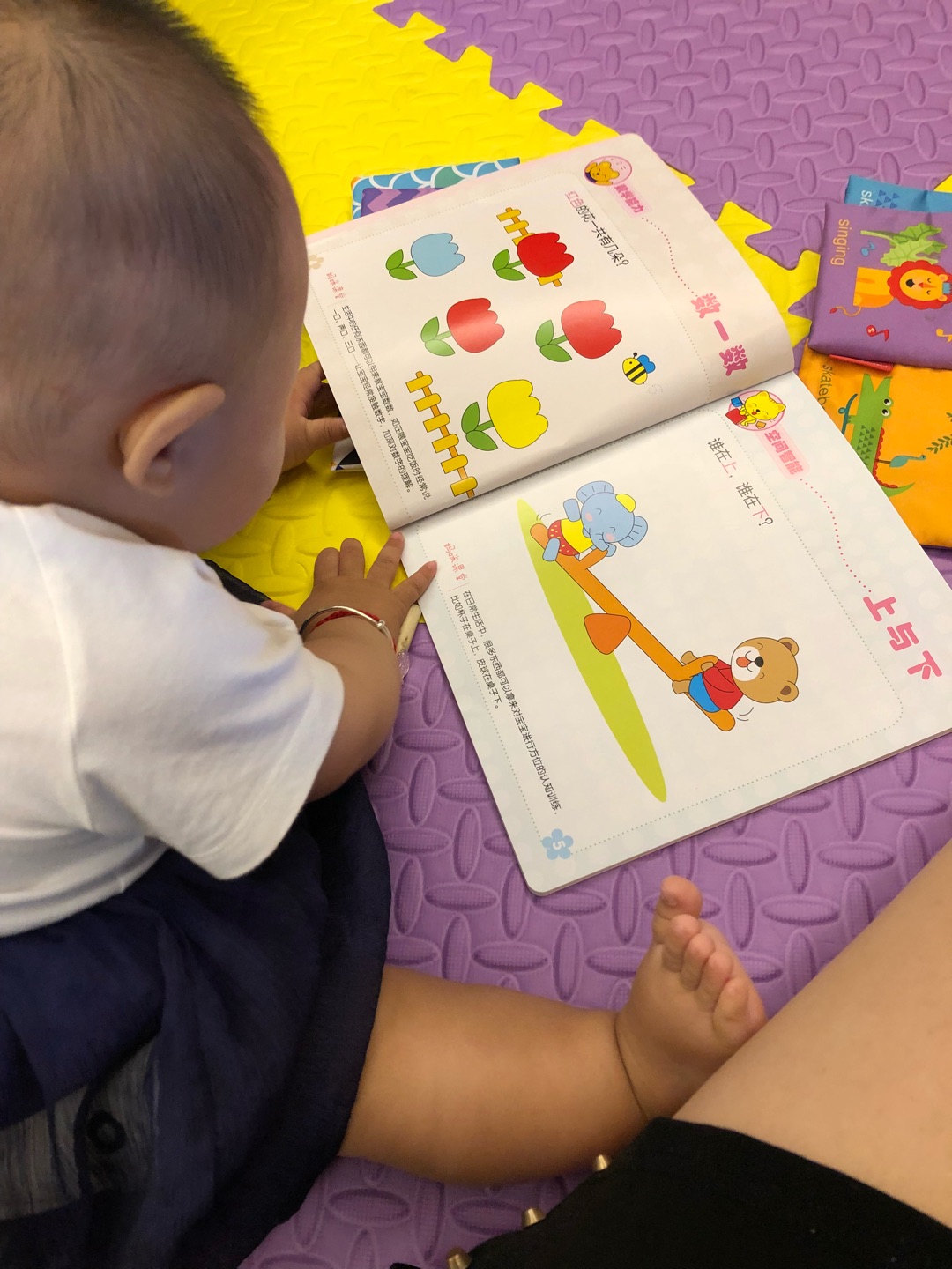 哈哈哈 超级好 宝宝喜欢看 背影好像真的就是那么回事在认真看书 希望以后是学霸