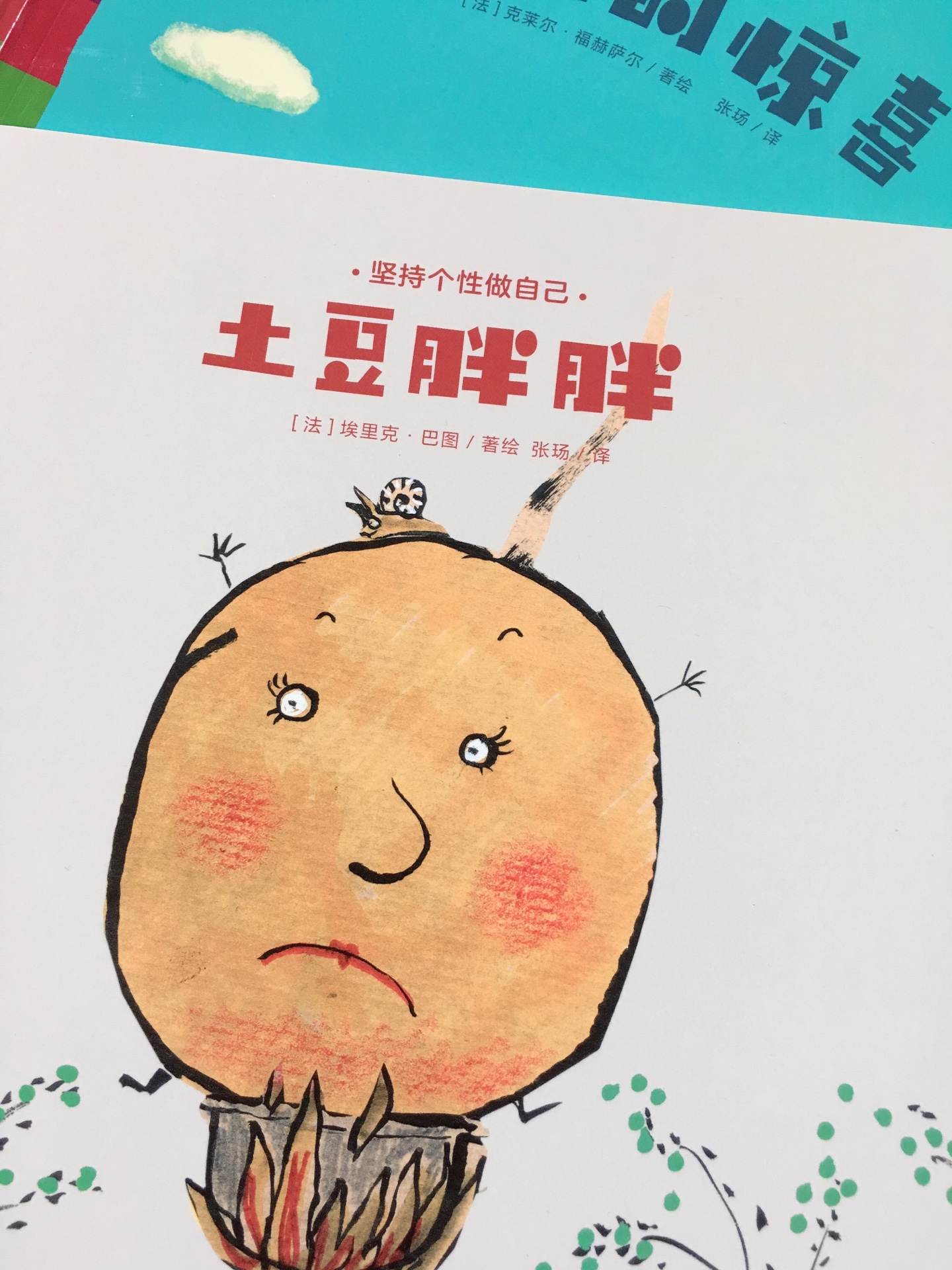 这套书的一本土豆胖胖实在太傻了，讲的是一个男人向一个胖土豆求婚，一个人和一个土豆从此过上了幸福的生活，真是醉了，对这个作者简直无语，买的最失败的书，打算扔了。。。