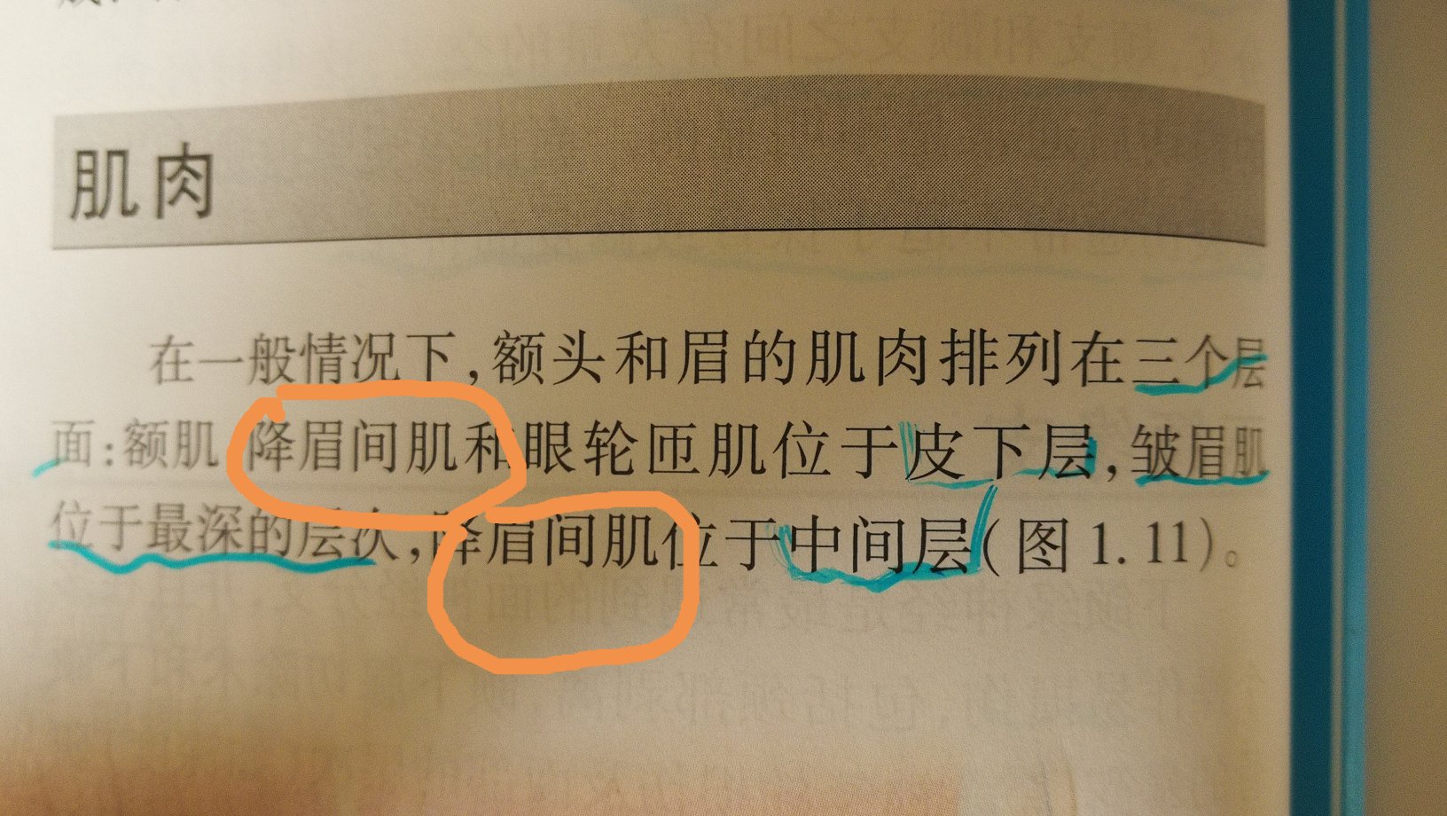 jd一如既往的快捷方便。不过这套书翻译得一般，有些名词没有按照惯例翻译，读着很别扭，小错误也略多，但这一本在这一套书中算很好了。