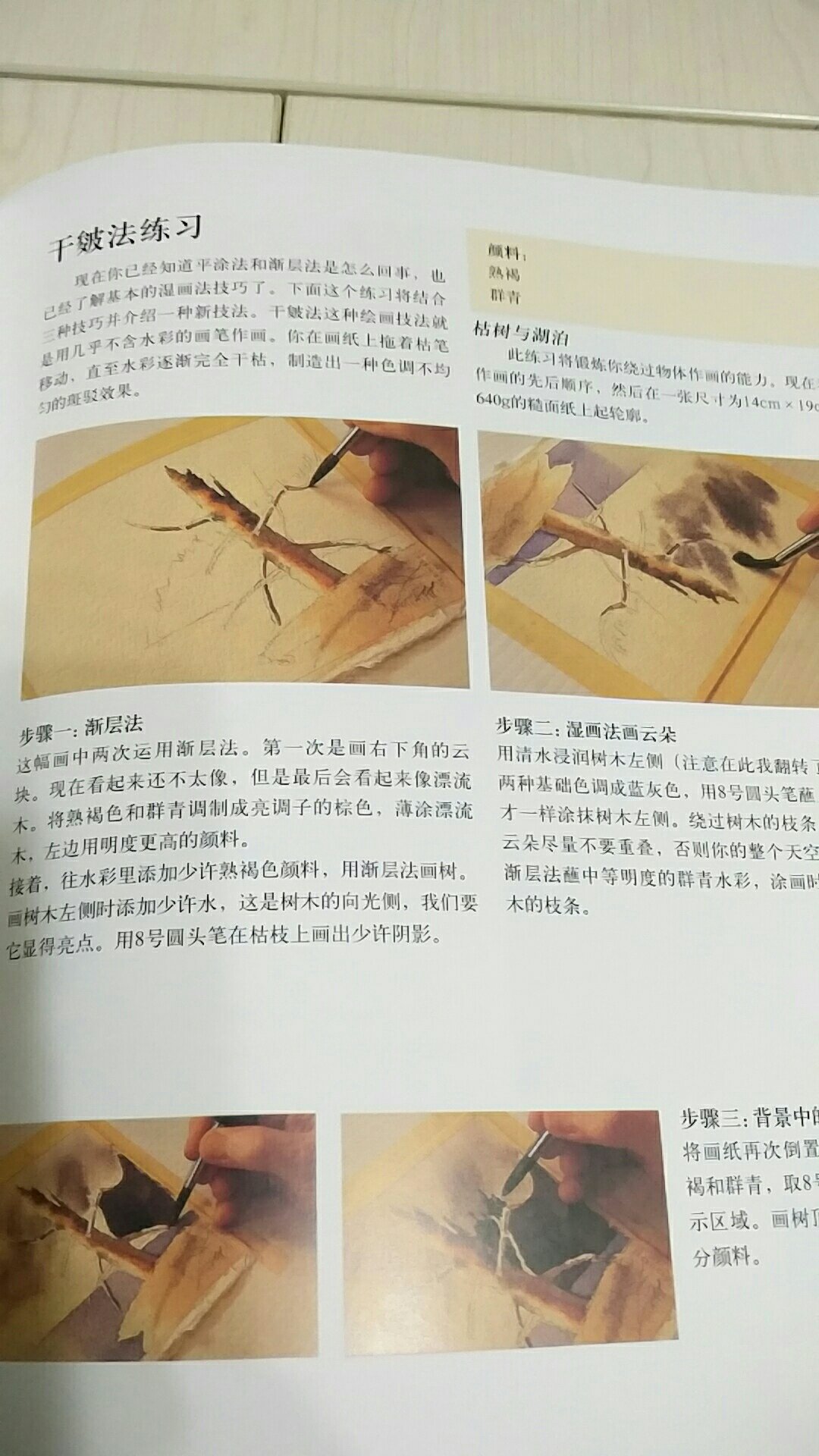 经典绘画教程，老婆要的，据说还不错，希望能有很大作用